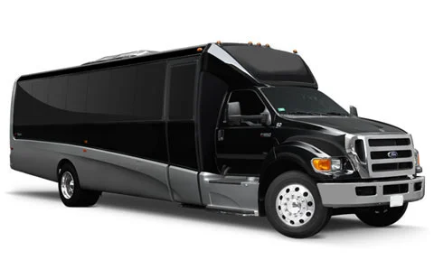 MINI COACH BUS